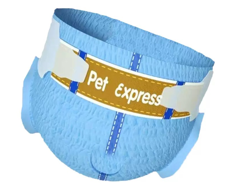 Pet Diapers: A Guide for Pet Owners Pet Diapers: A Guide for Pet Owners