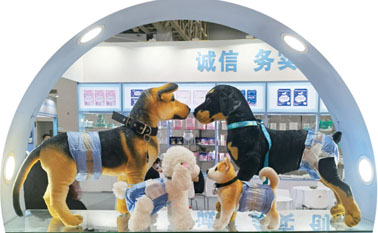 Pet Diapers: A Guide for Pet Owners